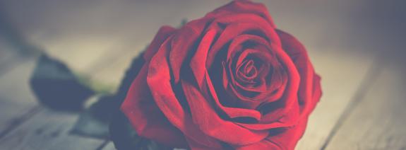 Herzblatt Arrangement