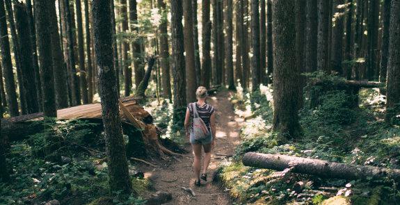 Wandern